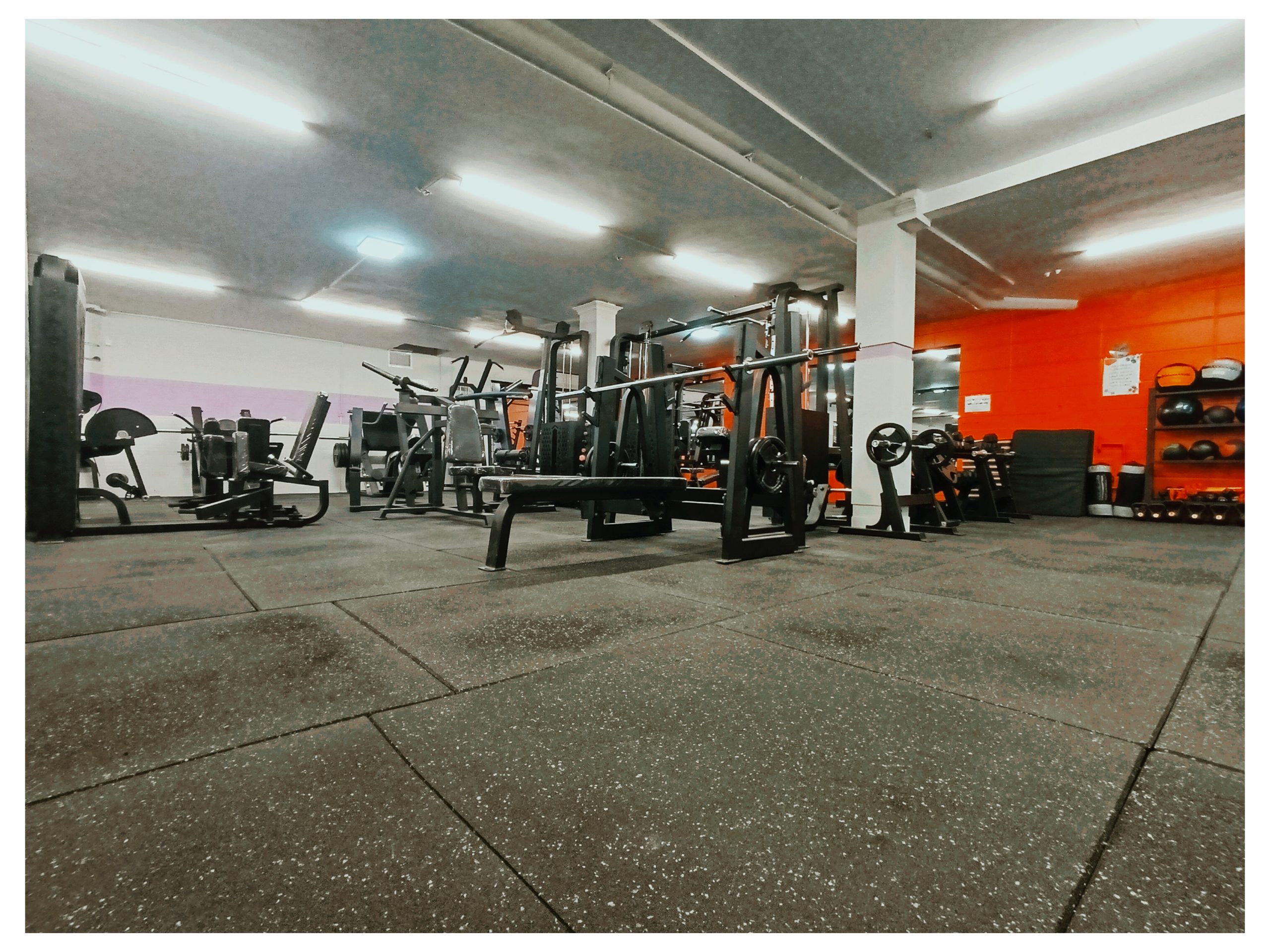 InShot_۲۰۲۶۰۱۲۶_۱۶۳۰۰۴۷۴۸