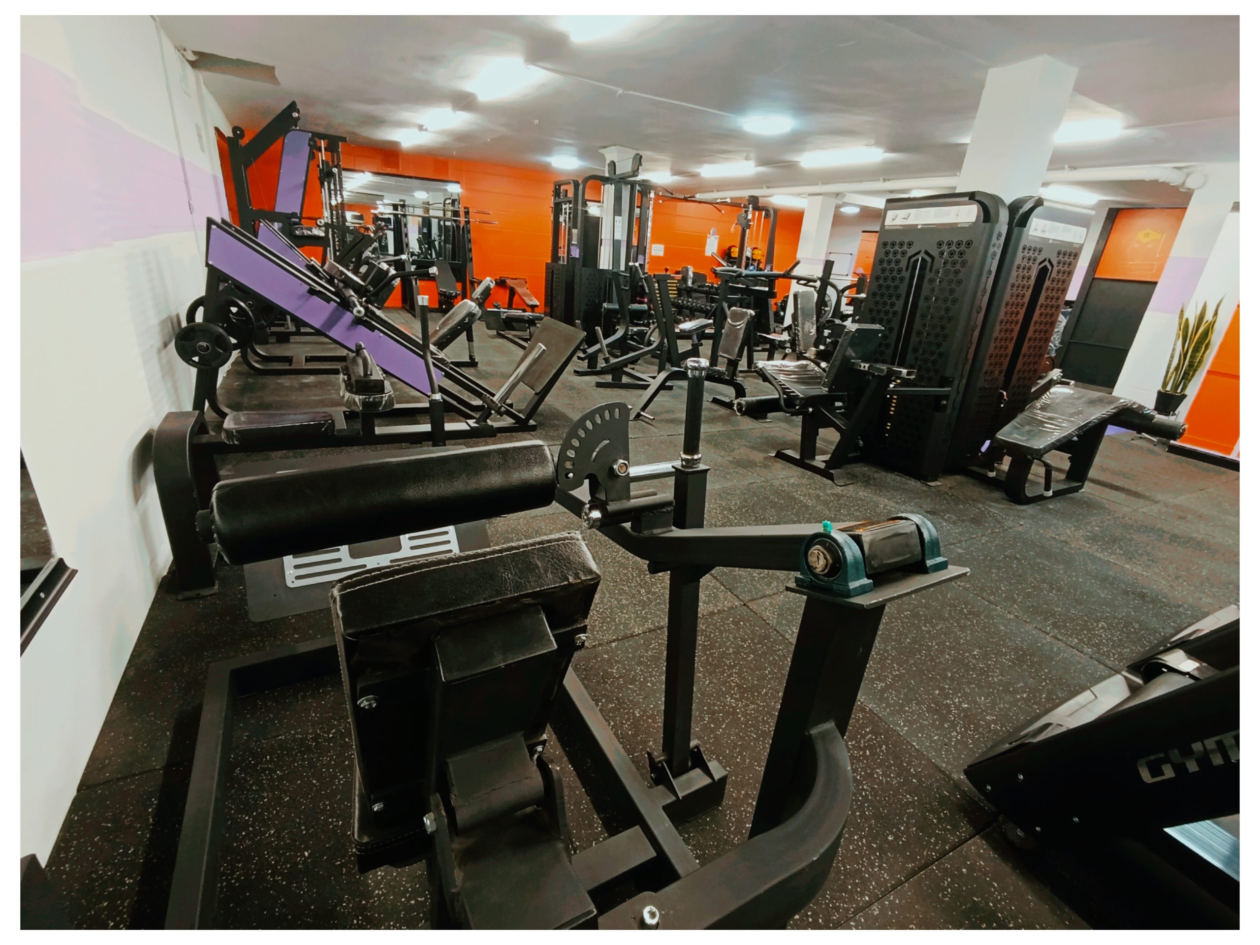 InShot_۲۰۲۶۰۱۲۶_۱۶۳۲۴۲۸۴۰