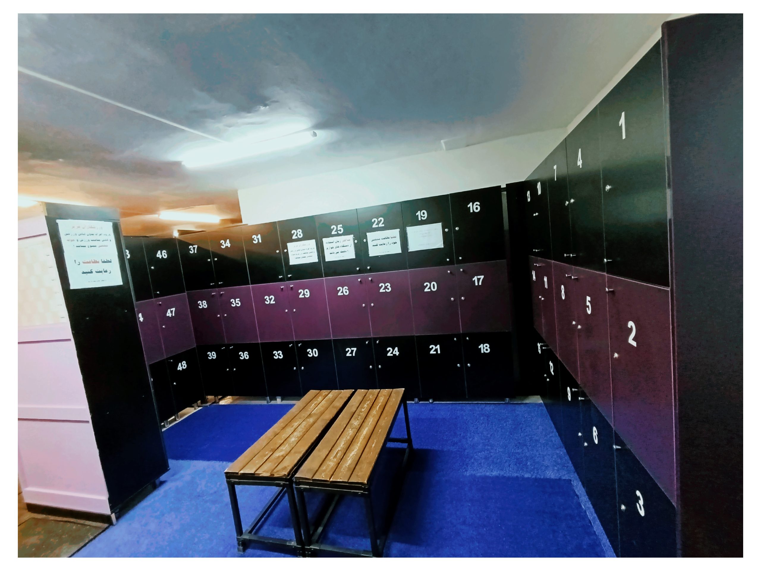 InShot_۲۰۲۶۰۱۲۶_۱۶۳۳۴۰۸۷۵