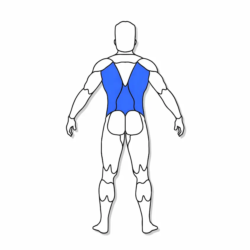 ویدیو های آموزشی حرکات بدنسازی عضلات زیر بغل